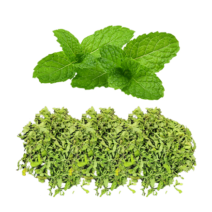vacuum-dried-dehydrated-mint